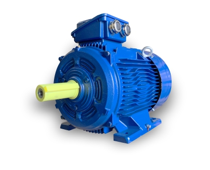 Three Phase Motor
